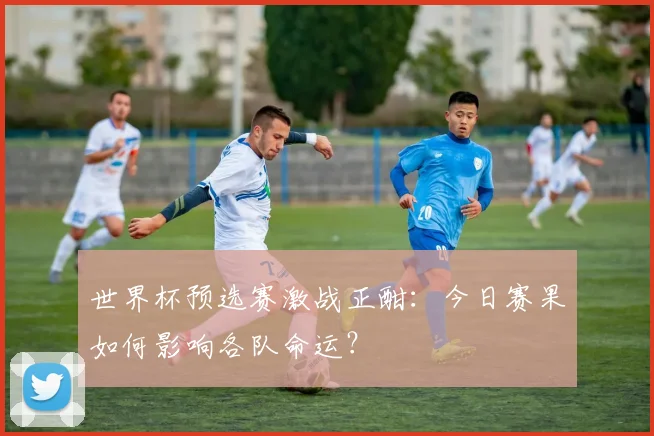 世界杯预选赛激战正酣：今日赛果如何影响各队命运？