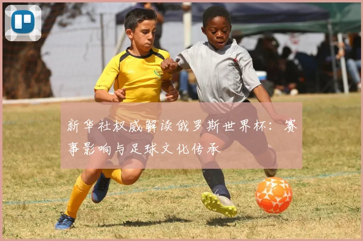 新华社权威解读俄罗斯世界杯：赛事影响与足球文化传承
