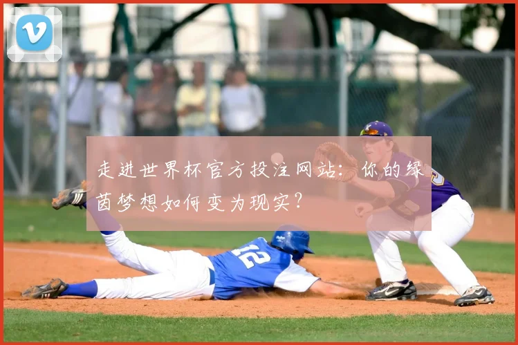 走进世界杯官方投注网站：你的绿茵梦想如何变为现实？