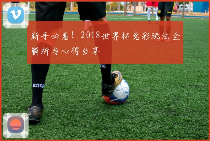 新手必看！2018世界杯竞彩玩法全解析与心得分享