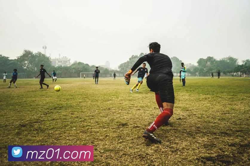 开云在线官网登录入口服务体系